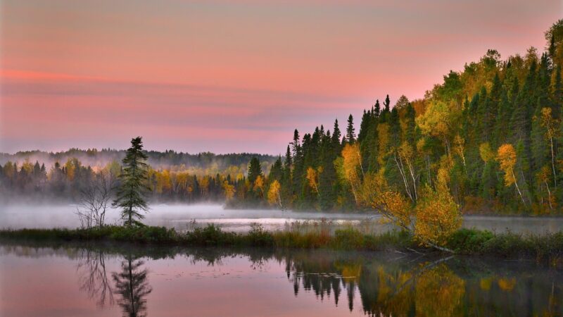 加拿大的秋天之美 Celebrating Autumn’s Harvest in Canada